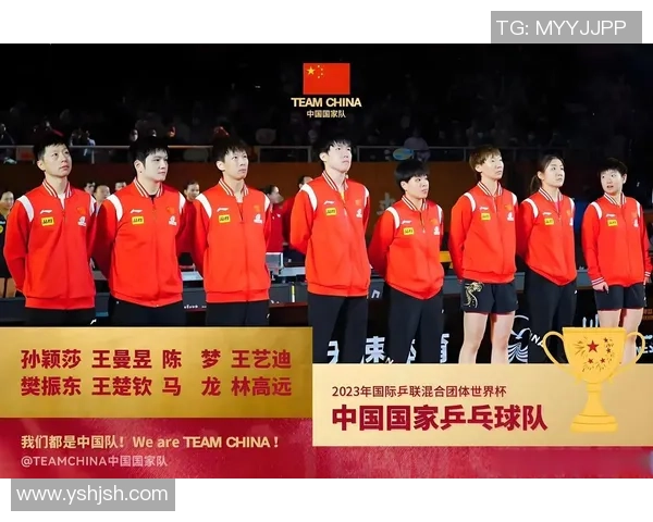 成都乒乓球队战术引发热议球迷与专家观点交锋分析